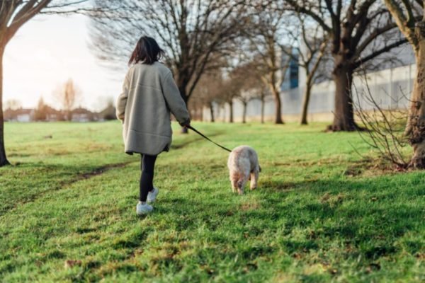 Mulher passeando com o cachorro no parque - Metrópoles