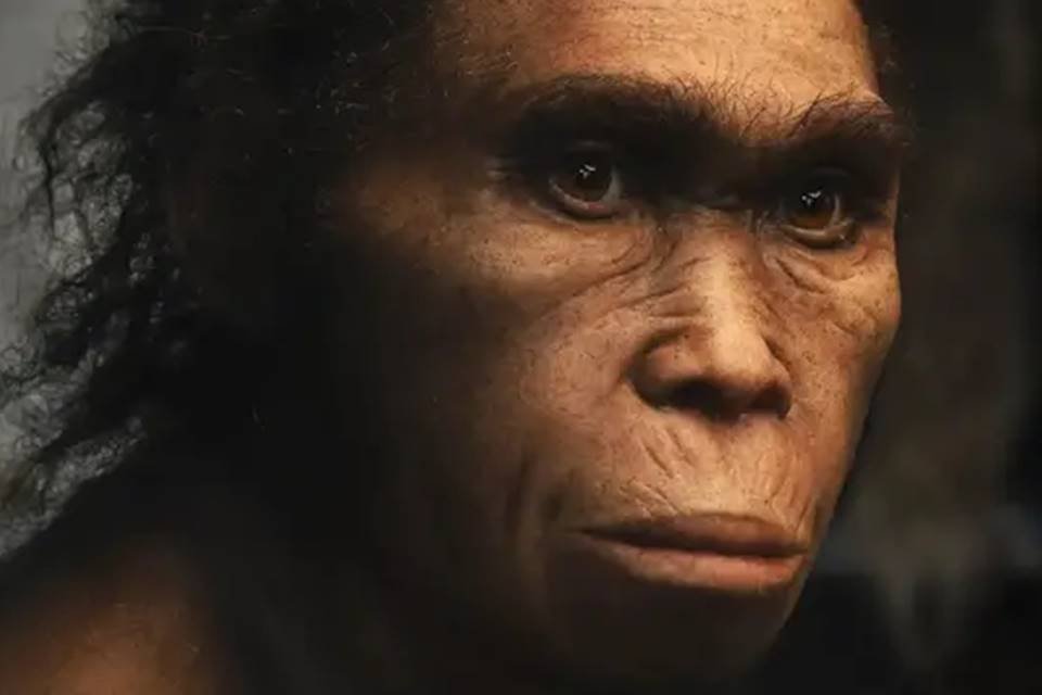 Imagem mostra Primata extinto, Homo naledi pode ter feito gravuras em cavernas e enterrado seus mortos - Metrópoles