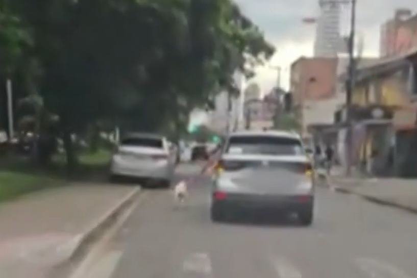 Foto colorida de um motorista arrastando um cachorro pela coleira no Pará - Metrópoles