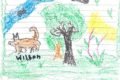 desenhos crianças indigenas selva colombia - Metrópoles