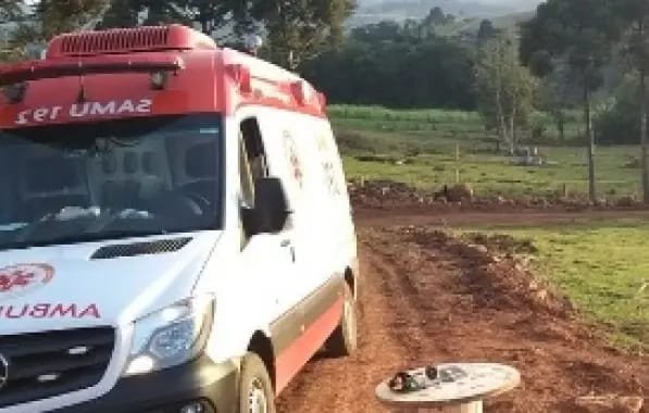 Agricultor morre após ser atacado por abelhas em zona rural da Bahia