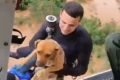 Foto colorida do momento em que cachorro é salvo por bombeiro em RS - Metrópoles