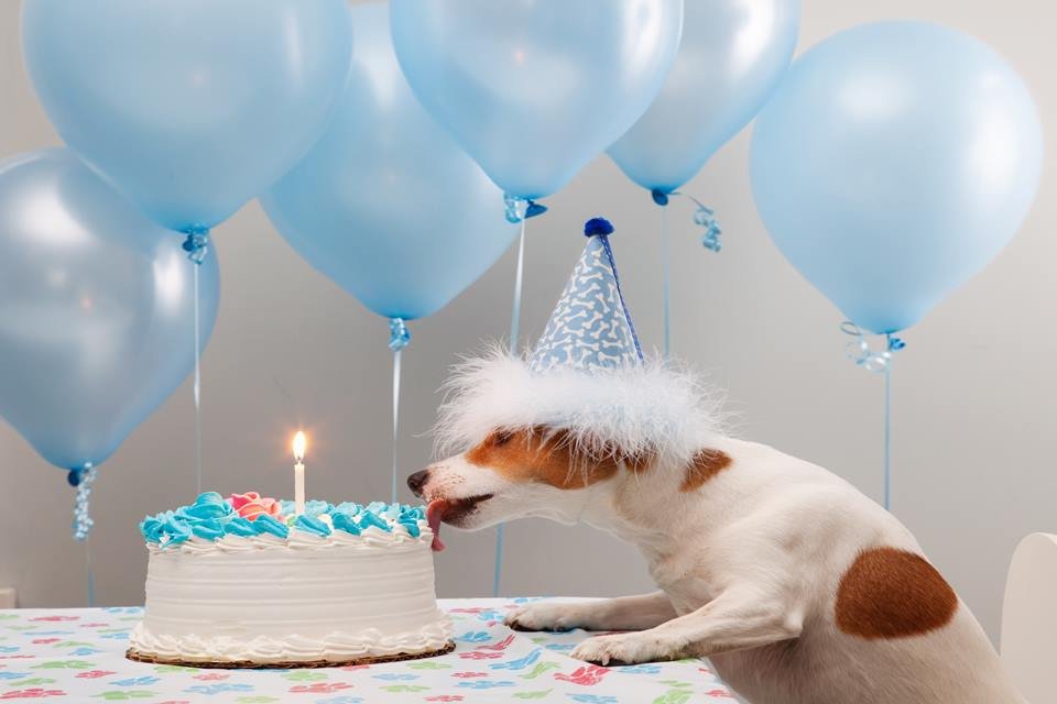 Desenho de Bolo de aniversário 2 pintado e colorido por Usuário