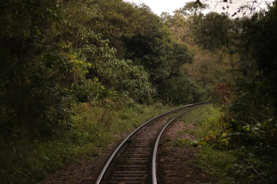 Como é O Passeio De Trem No Brasil Eleito Um Dos Mais Lindos Do Mundo ...