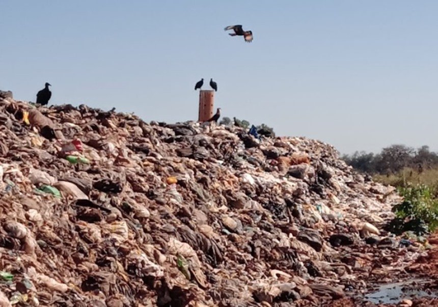 Urubu, lixo espalhado e chorume: TCE aponta falhas em descarte de lixo
