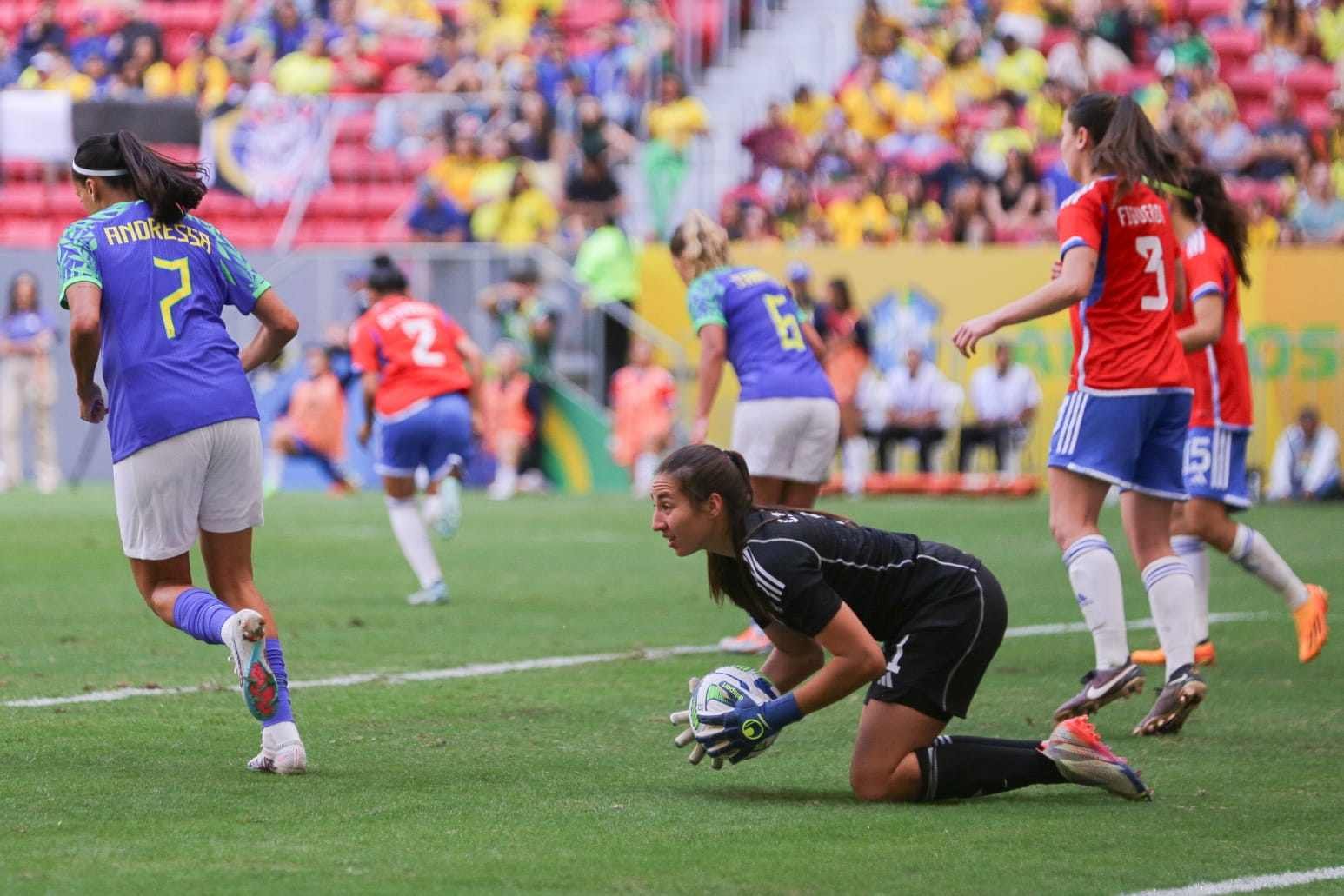 Jogos do Brasil na Copa do Mundo feminina: veja datas e horários da primeira  fase - No Cariri Tem