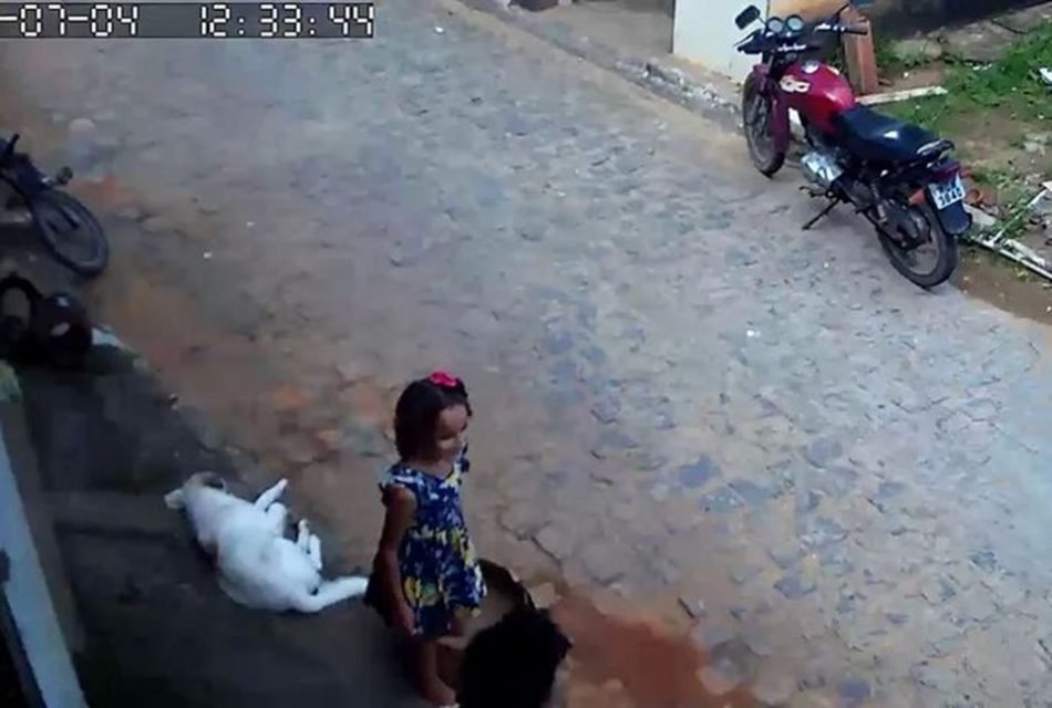 Imagem de câmera de segurança que flagrou menina Ana Sophia - Metrópoles