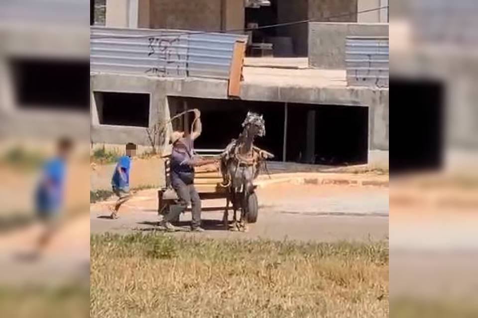 Vídeo: carroceiro é flagrado espancando cavalo com chicote no Guará