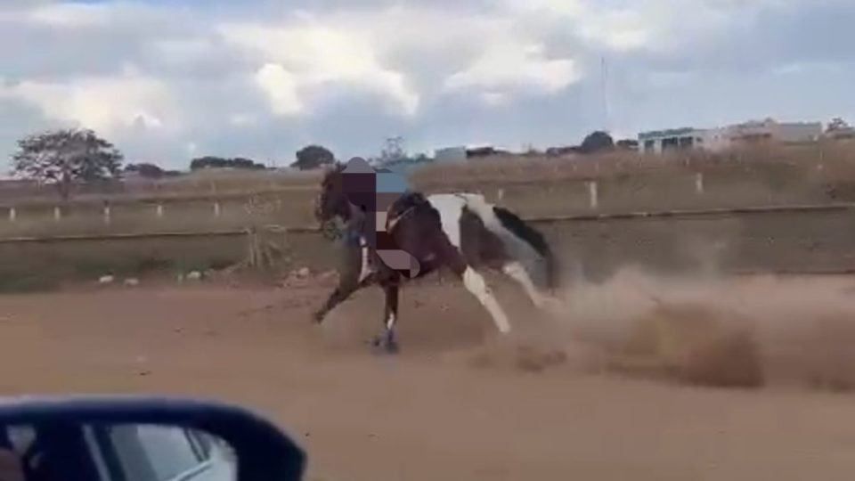 Homem e cavalo pulando uma cerca, 1887