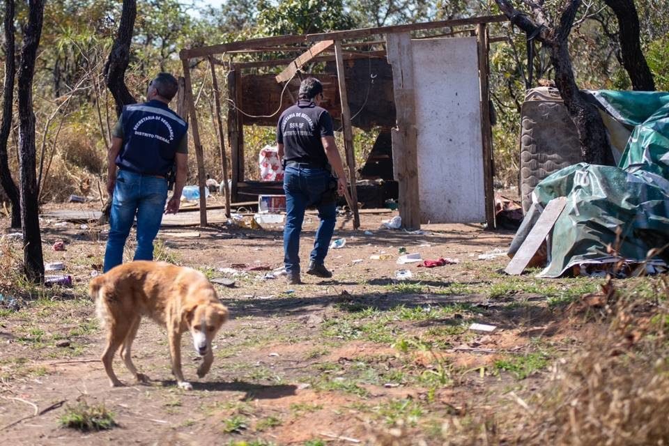 Cachorro caramelo caminha ao lado de servidores do DF Legal - Metrópoles