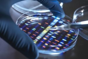 Imagem colorida de mãos usando luvas azul realizando teste de DNA em laboratório - Metrópoles