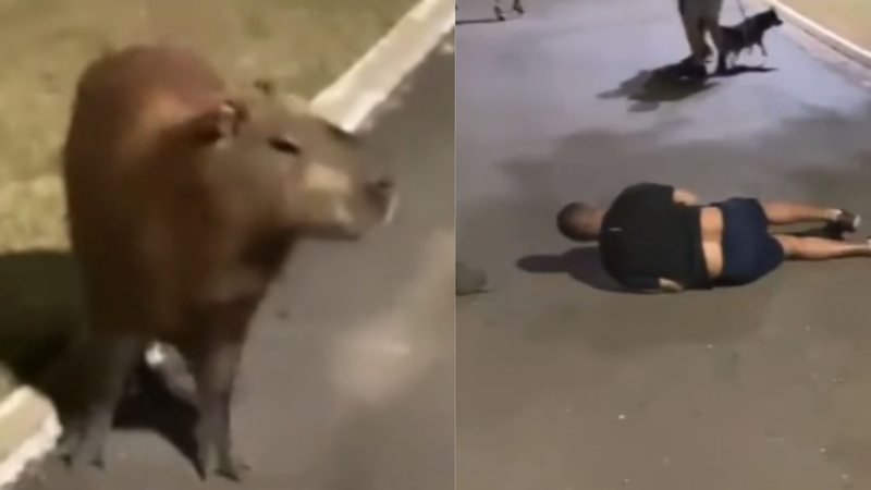 Homem é autuado após abate de capivara no Tietê