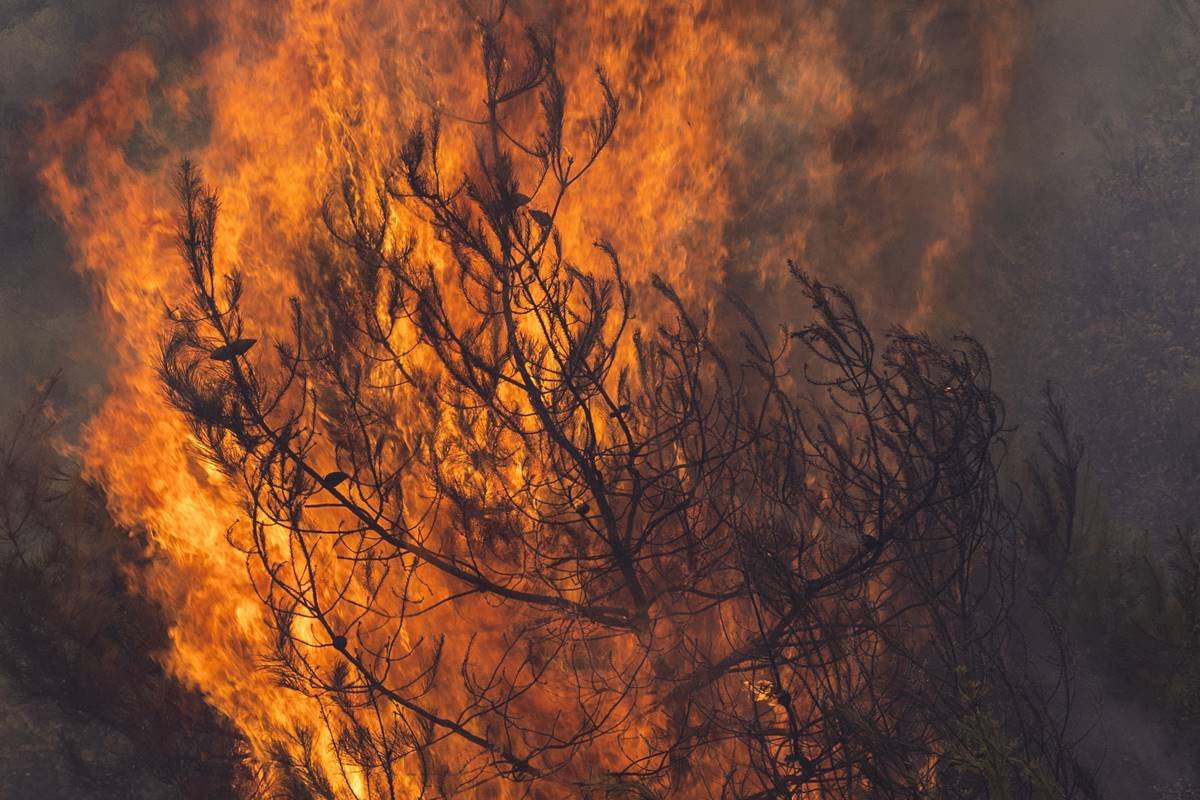 Incêndios florestais na Grécia