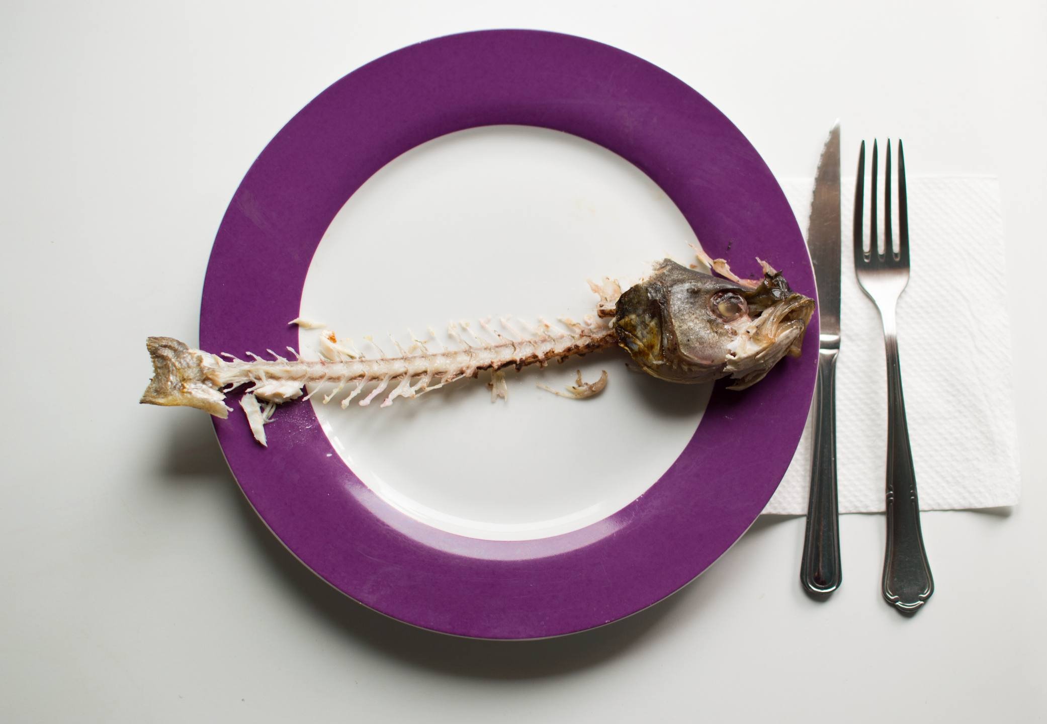 Foto mostra espinha de peixe disposta em prato com as bordas roxas - Metrópoles