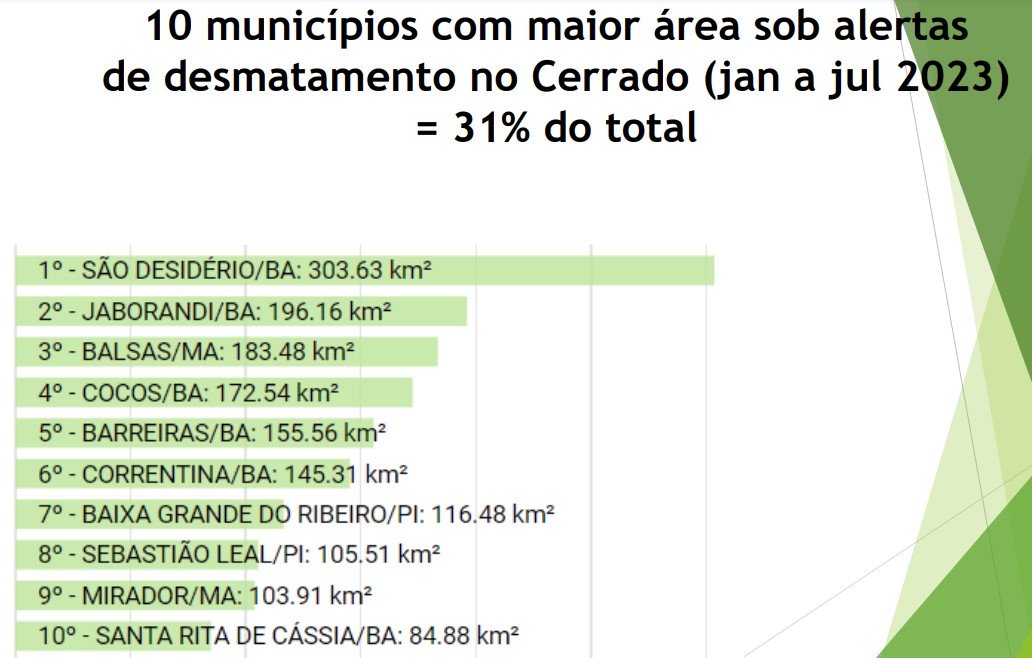 Imagem colorida de gráfico das cidades que mais desmataram - Metrópoles
