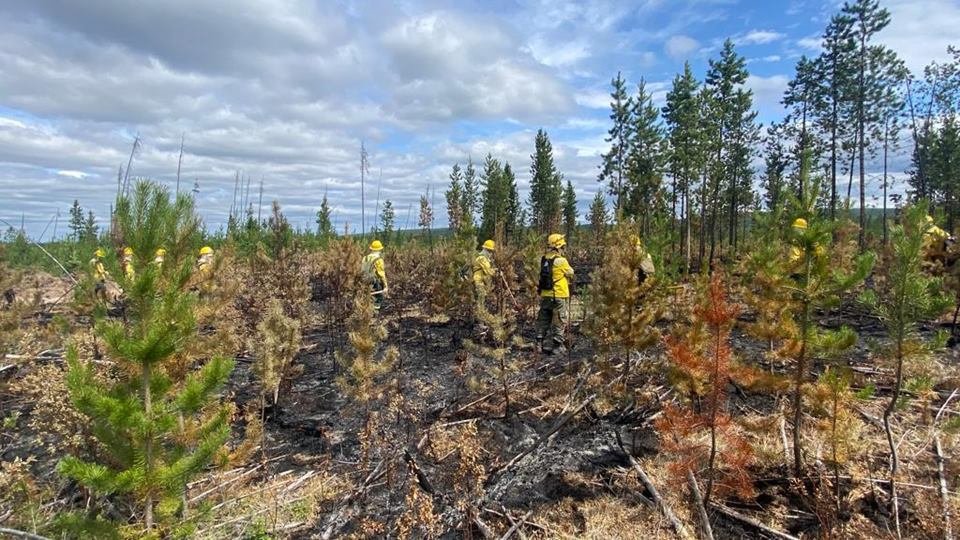 Imagem colorida de combatentes enviados para a missão humanitária contra os incêndios florestais no Canadá - Metrópoles
