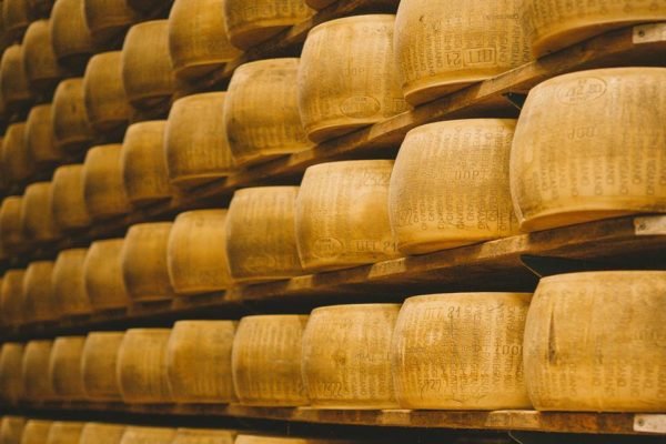 Imagem colorida mostra peças de queijo do tipo Grana Padano - Metrópoles