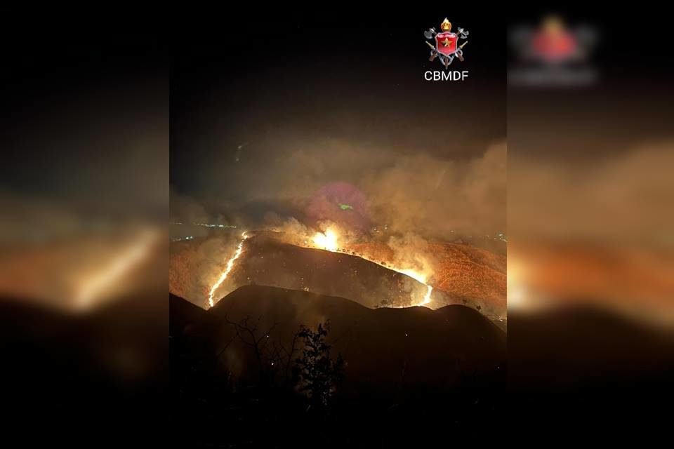 incêndio em área flroestal