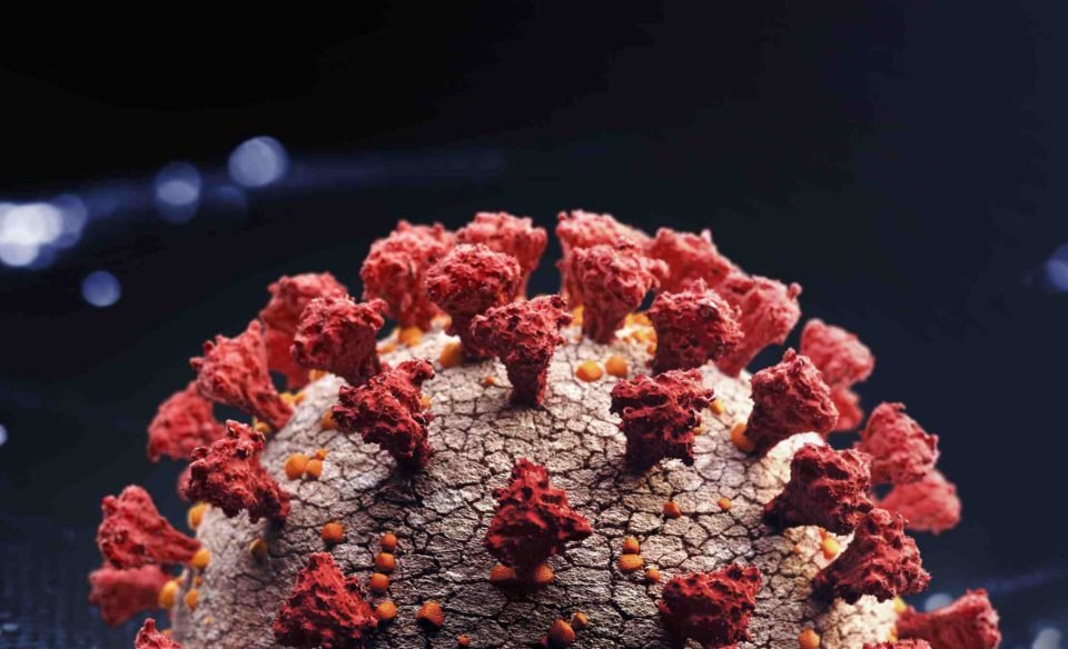 Ilustração mostra vírus da Covid com foco na proteína spike