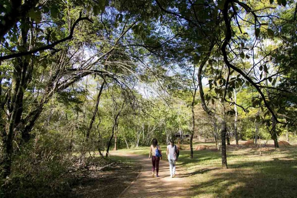 Parque Nacional de Brasília é ponto de fuga em dias quentes e secos do DF, Divirta-se mais