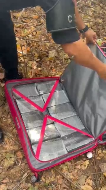 Imagem colorida de malas carregadas de cocaína apreendidas pela PF - Metrópoles