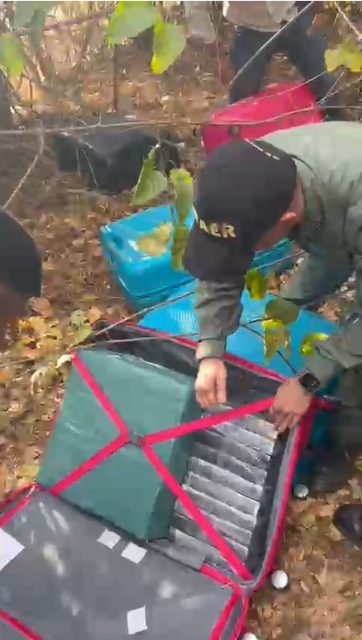 Imagem colorida de malas carregadas de cocaína apreendidas pela PF - Metrópoles