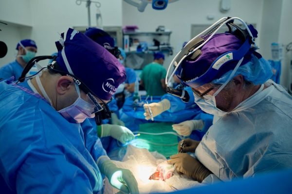 Foto colorida de médicos em sala de cirurgia fazendo transplante - Metrópoles