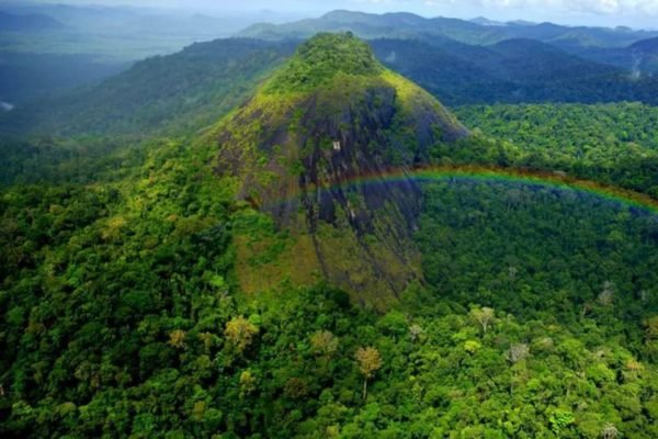 Foto colorida do Parque do Tumucumaque, no Amapá - Metrópoles