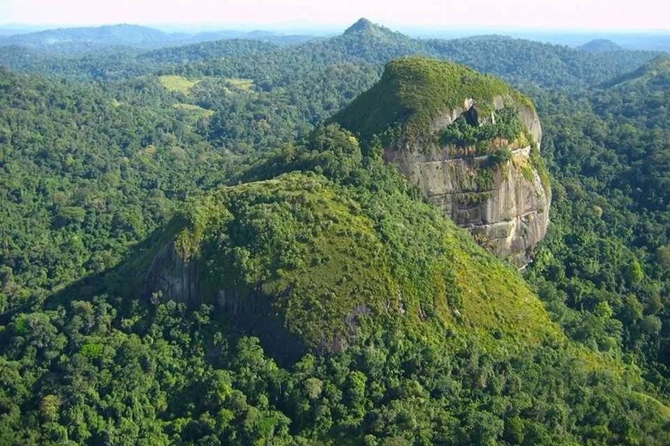 Foto colorida do Parque Nacional Montanhas do Tumucumaque entre o Amapá e Pará - Metrópoles