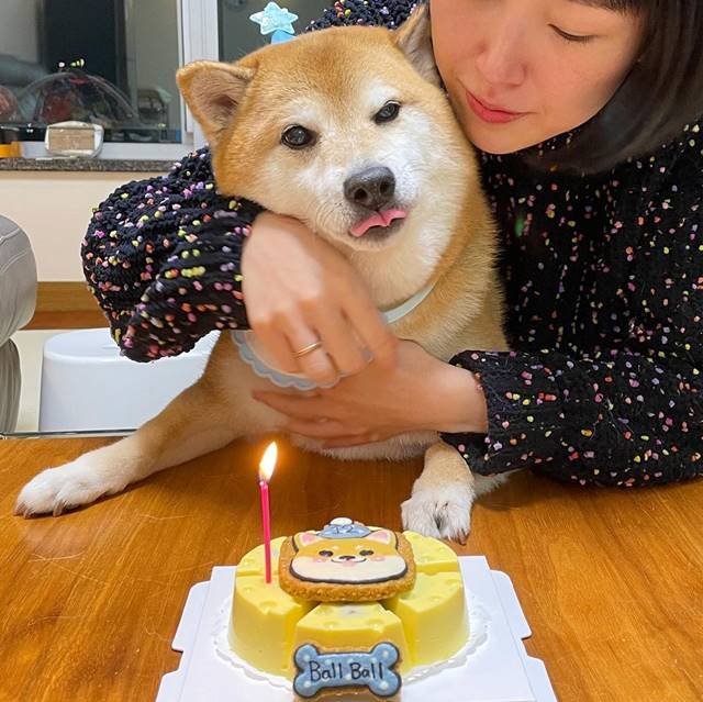 Foto colorida de um cachorro da raça shiba-inu com uma mulher o abraçando apoiada em uma mesa com um bolo de aniversário- Metrópoles