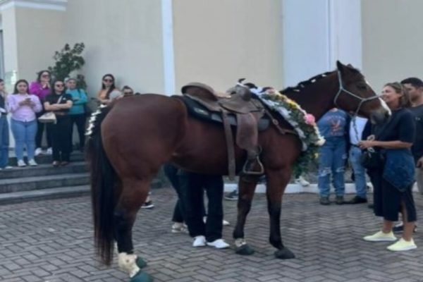 Menina de 5 anos é tão encantada por cavalos que leva um escondido