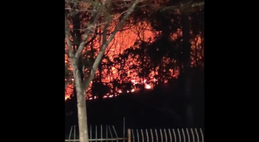 foto colorida de fogo atingindo parque do Carmo, em SP