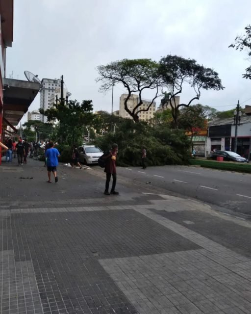 Imagem colorida mostra uma árvore que foi derrubada pelos fortes ventos na avenida Duque de Caxias, no centro de São Paulo, com pessoas na calçada observando - Metrópoles