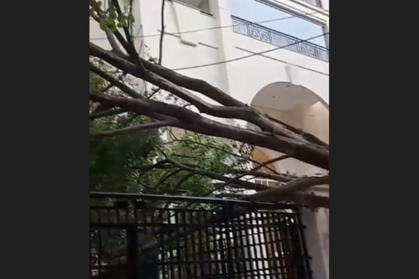 foto colorida mostra árvore caída sobre portão de um prédio em São Paulo
