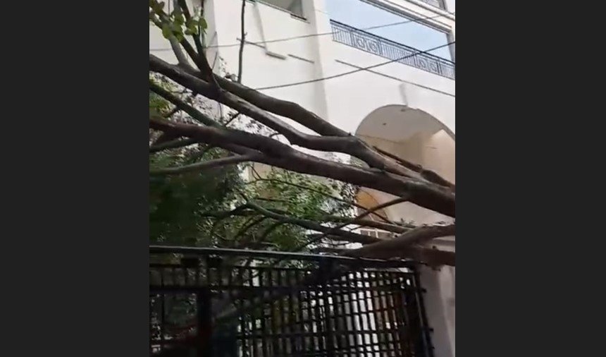 foto colorida mostra árvore caída sobre portão de um prédio em São Paulo - Metrópoles