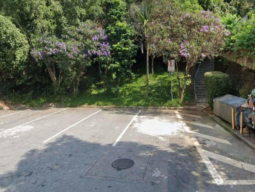 Foto colorida mostra matagal na rua Rua Pedro Avancine