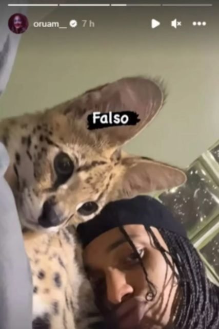 Foto colorida de um gato e um homem - Metrópoles
