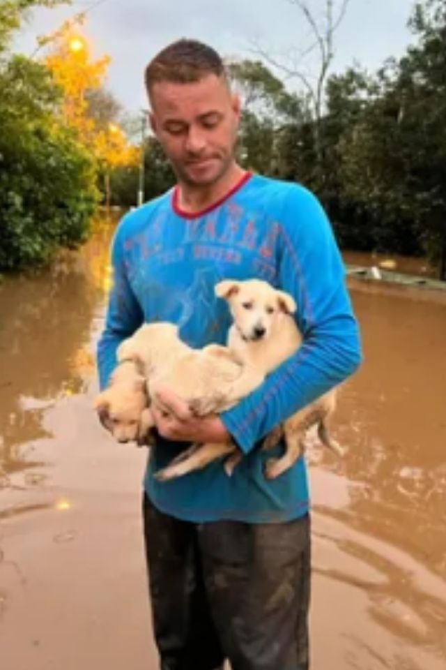 Homem salva filhotes de cachorro de enchente após temporal no RS