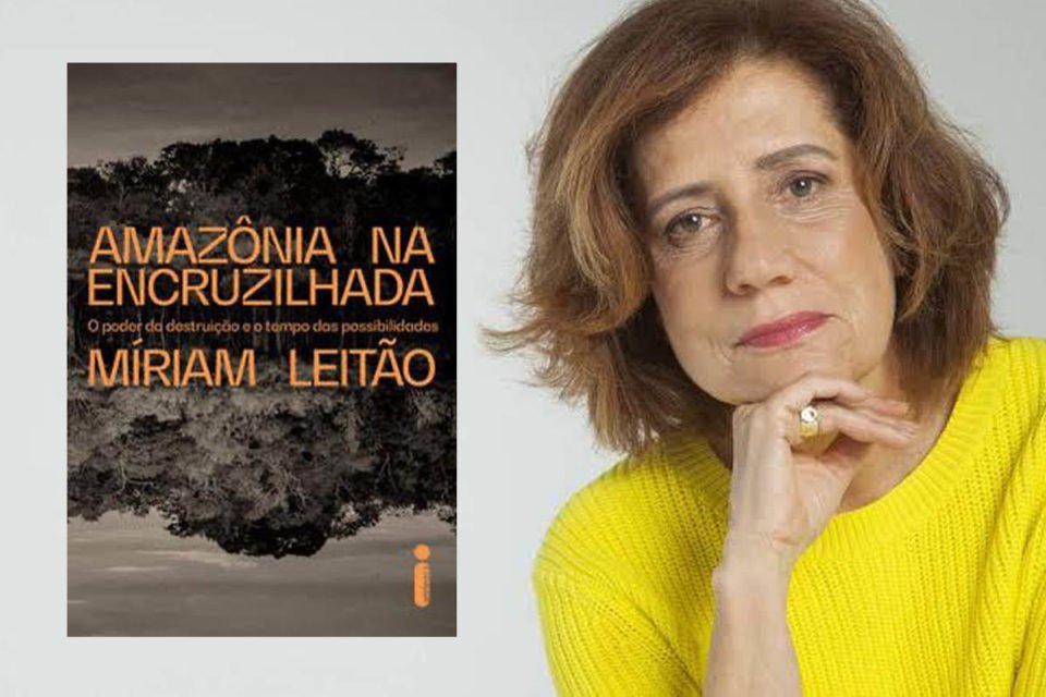 Em novo livro, Míriam Leitão explica a trama econômica que destrói a  Amazônia e mostra quais são as saídas possíveis