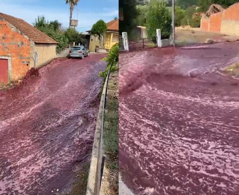 Imagem colorida de "rio" de vinho tinto em Portugal - Metrópoles