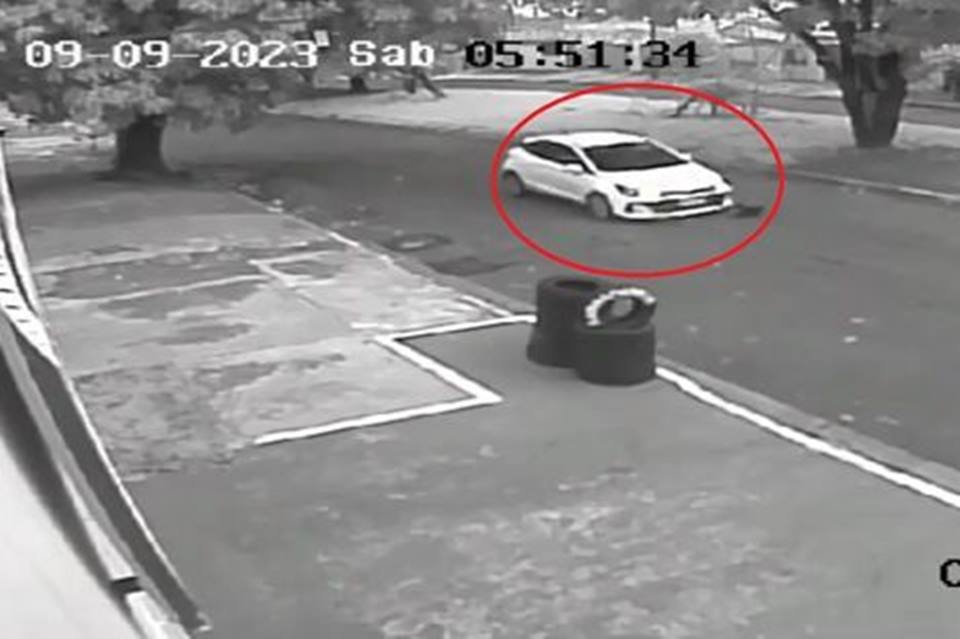 MS: motorista atropela cachorro e foge sem prestar socorro; veja vídeo