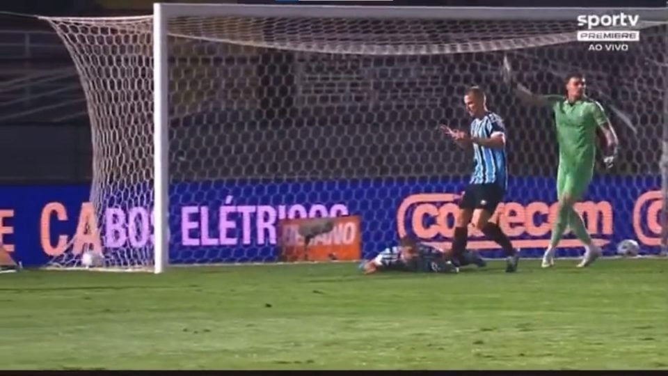 João Pedro, do Grêmio, marcou gol contra bizarro contra o Bragantino - Metrópoles