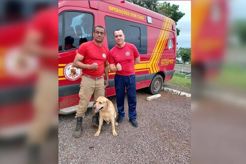 Imagem colorida msotra cachorro que morreu durante resgate às vítimas da passagem de ciclone no estado do Rio Grande do Sul - Metrópoles