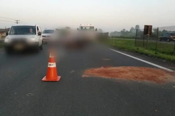 Motorista fica gravemente ferido ao atropelar e matar cavalo. Vídeo