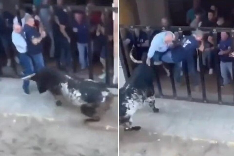 Peão é pisoteado por touro durante montaria na festa de Barretos