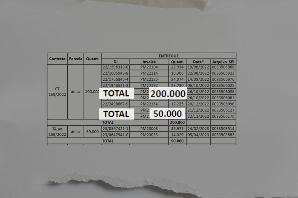 documento panamerican