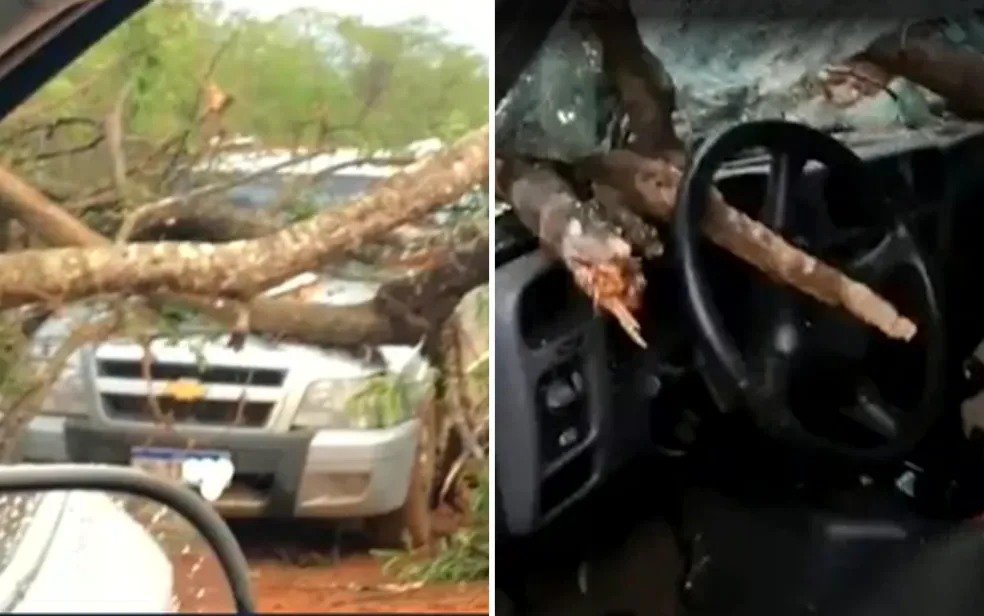 imagem colorida arvore cai em cima de carro e mata motorista goias