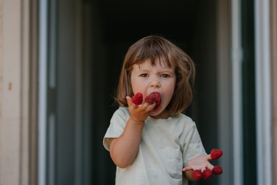Foto colorida. Imagem mostra uma criança branca, de cabelos claros e curtos com várias frutinhas vermelhas enfiadas em cada um dos dedos das duas mãos - Metrópoles