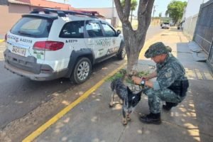 foto colorida de cadela encontrada com sinais de maus-tratos e abandono em sítio de Rosana (SP), ao lado de policial ambiental - Metrópoles