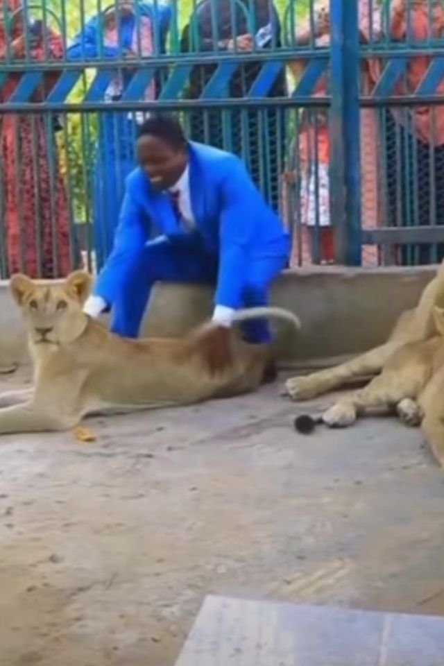 Homem interagindo com leões se diz 'pastor', mas é tratador de animais